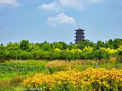 已開獎【蓋樂世影像周賽第248期】—— 盛夏的影像