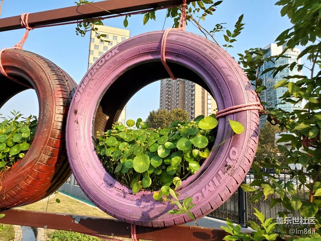 【甜蜜校園回憶錄】+回不去的校園時光