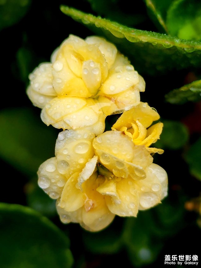 《每周星鮮事》 第111期:三星手機(jī)使用大全 贏取星鉆京東卡