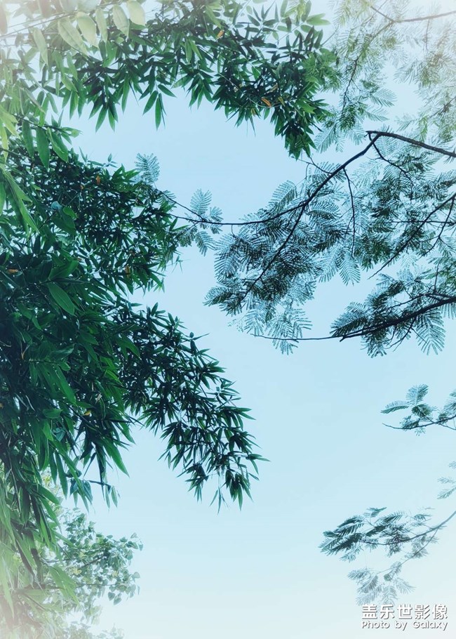 《每周星鮮事》 第111期:三星手機(jī)使用大全 贏取星鉆京東卡