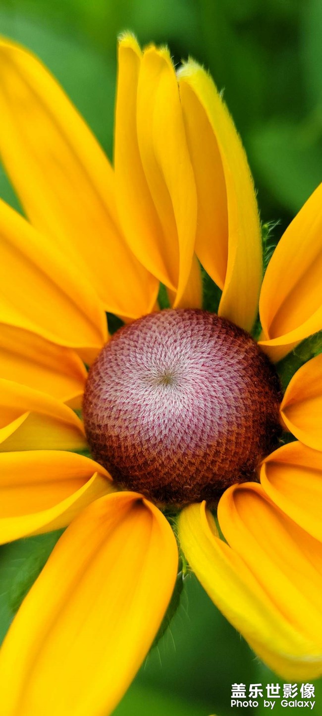 《每周星鮮事》 第111期:三星手機(jī)使用大全 贏取星鉆京東卡