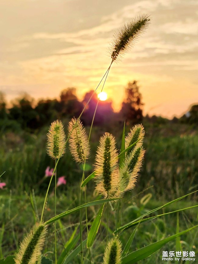 《每周星鮮事》 第111期:三星手機(jī)使用大全 贏取星鉆京東卡