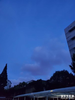【夏之夜】＋夏夜隨拍