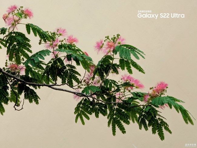 《每周星鮮事》 第111期:三星手機(jī)使用大全 贏取星鉆京東卡