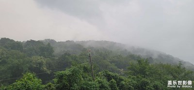 煙雨蒙蒙