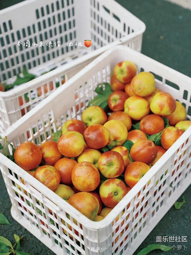 【盛夏之地】美好的夏天