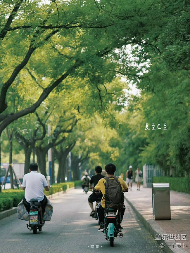 【盛夏之地】美好的夏天