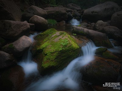【我的夏天】 森系の夏天