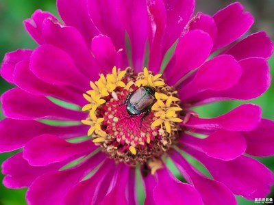 【我的夏天】+大自然的生靈