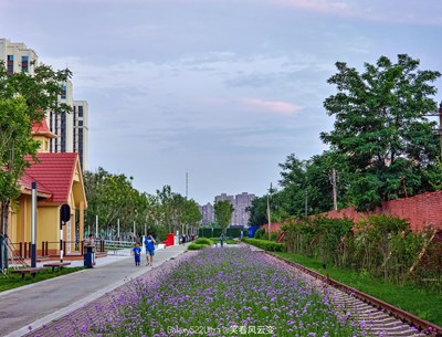 【我的夏天】+  蒼茫時分