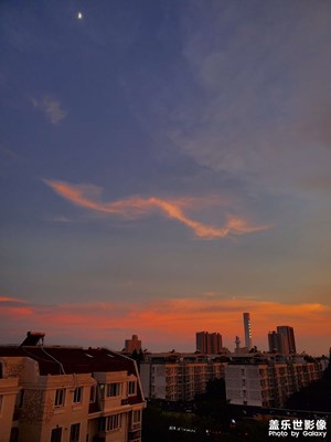 【盛夏的影像】＋閑暇隨拍
