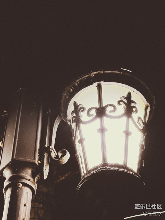 【霓虹燈下】路燈