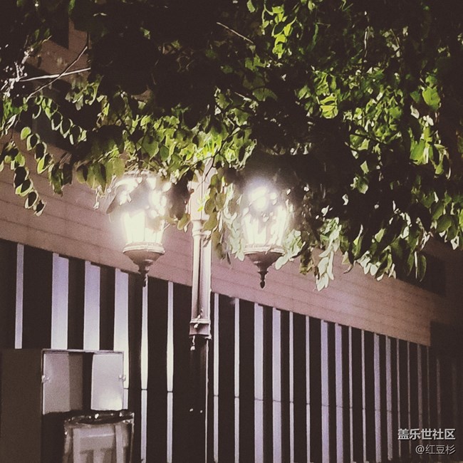 【霓虹燈下】路燈