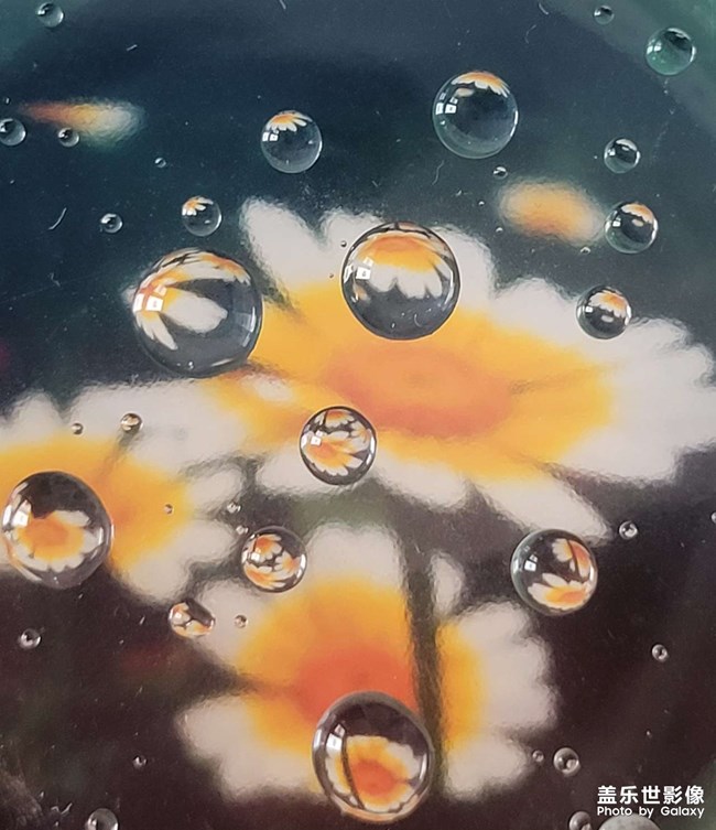 《每周星鮮事》 第112期:星粉周活動(dòng) 清涼夏日享受兌禮快樂(lè) 《每周星鮮事》 第112期:星粉周活動(dòng) 清涼夏日享受兌禮快樂(lè)