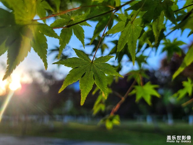 《每周星鮮事》 第112期:星粉周活動(dòng) 清涼夏日享受兌禮快樂(lè) 《每周星鮮事》 第112期:星粉周活動(dòng) 清涼夏日享受兌禮快樂(lè)