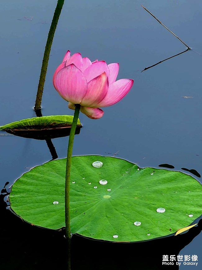 《每周星鮮事》 第112期:星粉周活動(dòng) 清涼夏日享受兌禮快樂(lè) 《每周星鮮事》 第112期:星粉周活動(dòng) 清涼夏日享受兌禮快樂(lè)