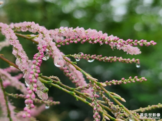 《每周星鮮事》 第112期:星粉周活動(dòng) 清涼夏日享受兌禮快樂(lè) 《每周星鮮事》 第112期:星粉周活動(dòng) 清涼夏日享受兌禮快樂(lè)