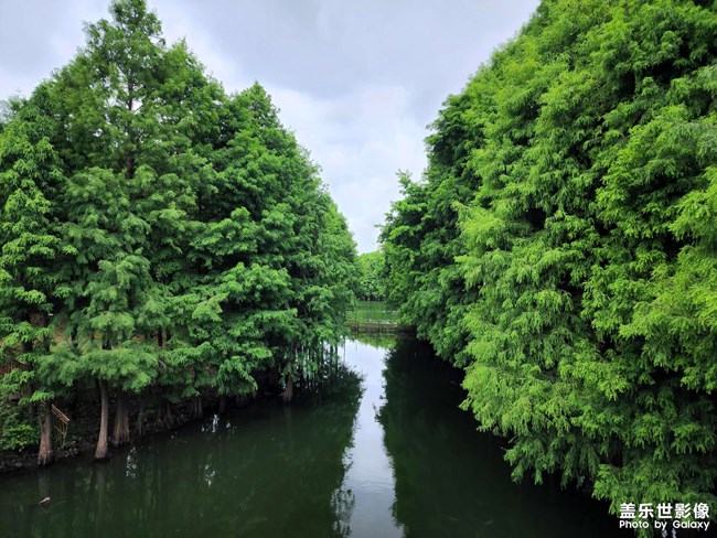 《每周星鮮事》 第112期:星粉周活動(dòng) 清涼夏日享受兌禮快樂(lè) 《每周星鮮事》 第112期:星粉周活動(dòng) 清涼夏日享受兌禮快樂(lè)