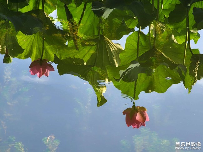 《每周星鮮事》 第112期:星粉周活動(dòng) 清涼夏日享受兌禮快樂(lè) 《每周星鮮事》 第112期:星粉周活動(dòng) 清涼夏日享受兌禮快樂(lè)