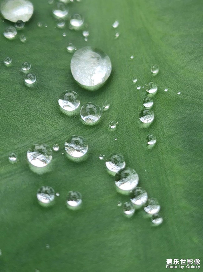 《每周星鮮事》 第112期:星粉周活動(dòng) 清涼夏日享受兌禮快樂(lè) 《每周星鮮事》 第112期:星粉周活動(dòng) 清涼夏日享受兌禮快樂(lè)