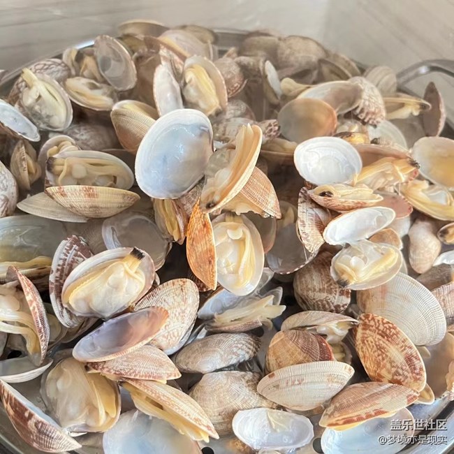 【盛夏之地】吃海鮮