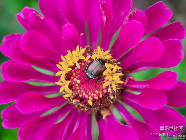 《每周星鮮事》 第112期:星粉周活動(dòng) 清涼夏日享受兌禮快樂(lè) 《每周星鮮事》 第112期:星粉周活動(dòng) 清涼夏日享受兌禮快樂(lè)