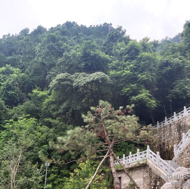 鐵剎山爬爬山拍拍景回顧貼