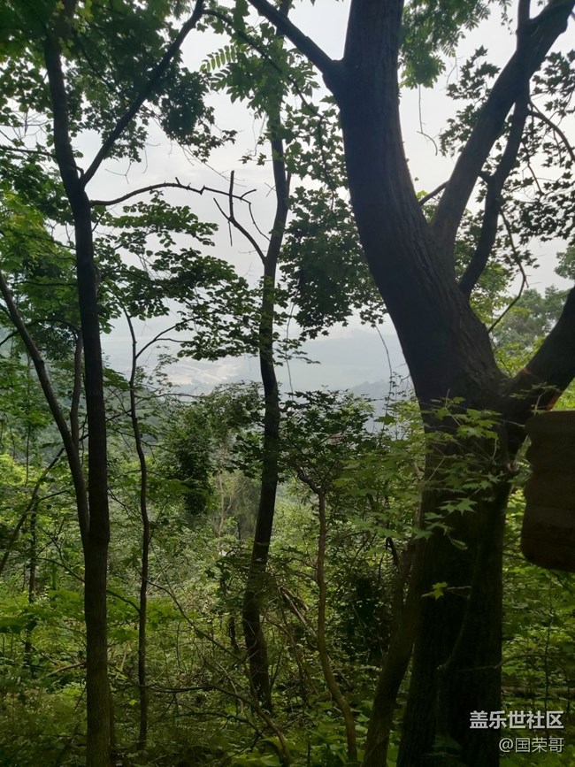 鐵剎山爬爬山拍拍景回顧貼