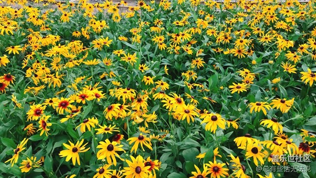 【盛夏之地】周末出去玩拍的