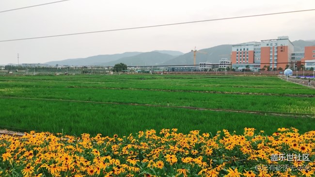 【盛夏之地】周末出去玩拍的