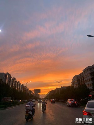【我的夏天】隨手拍