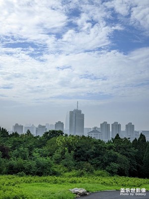 雨后隨拍