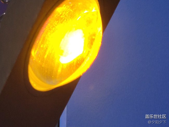 【霓虹燈下】暴力熊