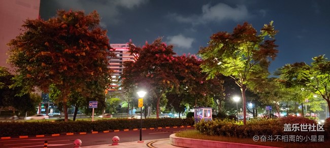 【霓虹燈下】夜幕降臨