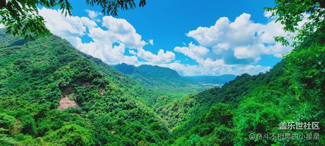 【靈動一夏】我的夏天，熱愛生活