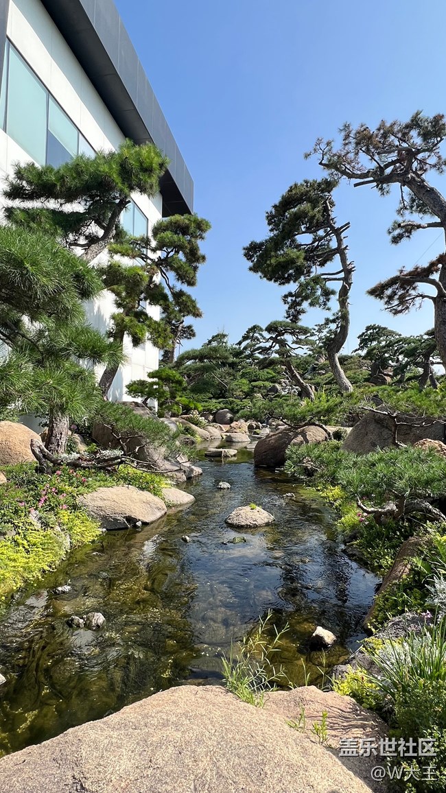 【靈動一夏】心動夏日
