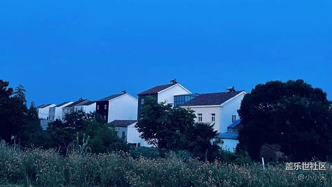 【靈動一夏】日落余暉