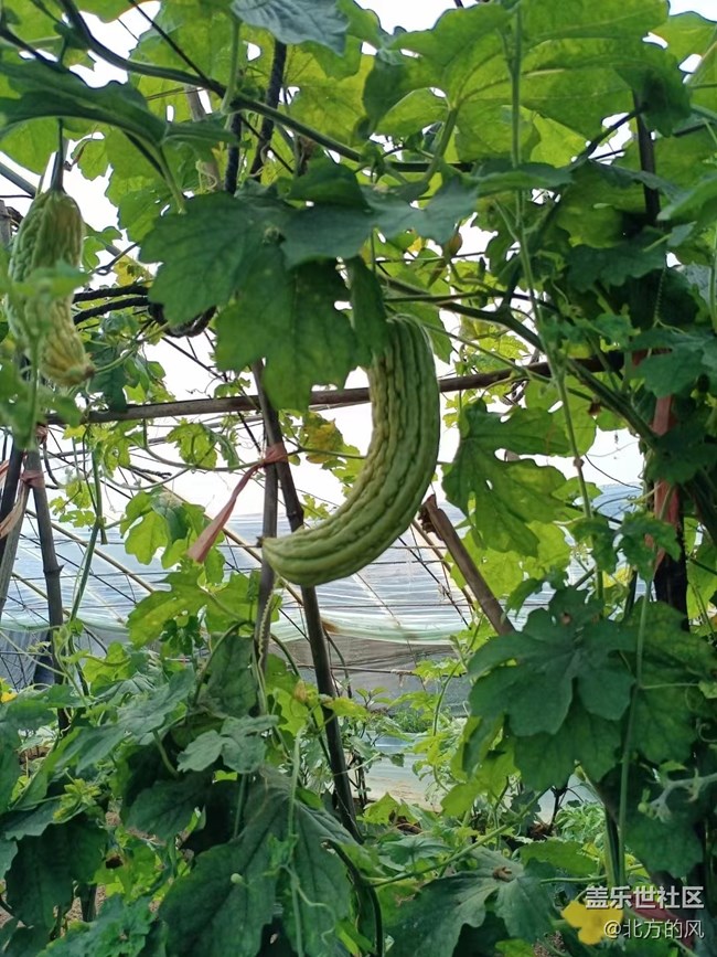 【八九不離食】+食材要新