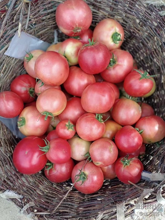 【八九不離食】+食材要新