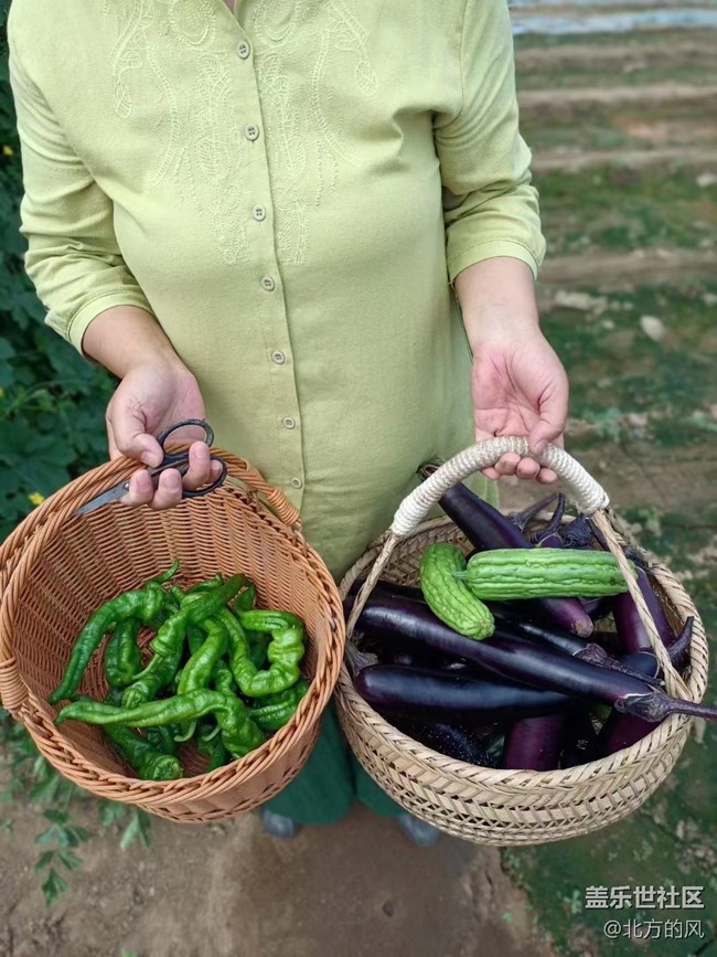 【八九不離食】+食材要新
