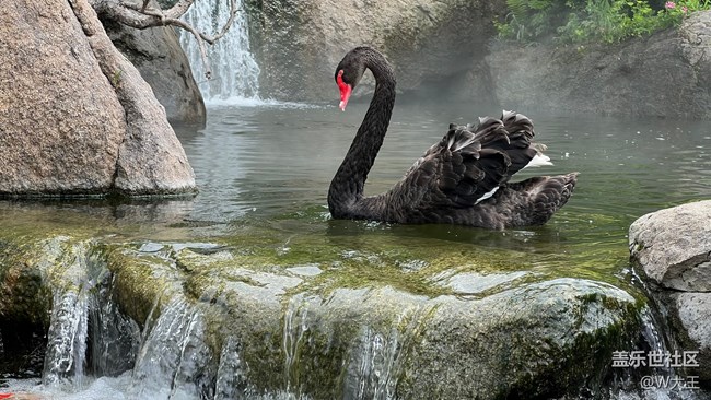 【靈動一夏】心動夏日