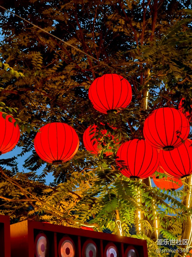 【霓虹燈下】+夜太美