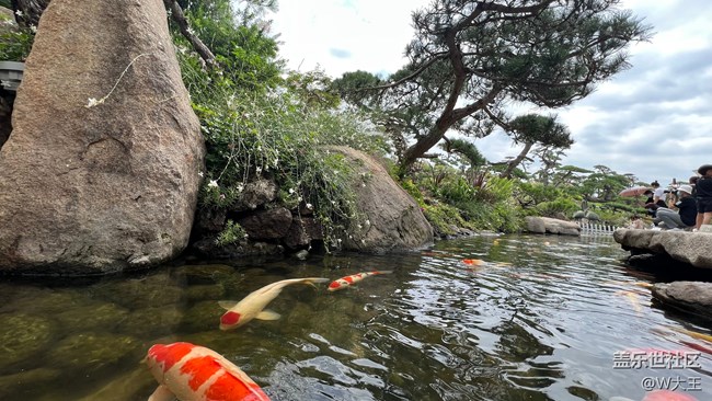 【靈動一夏】心動夏日