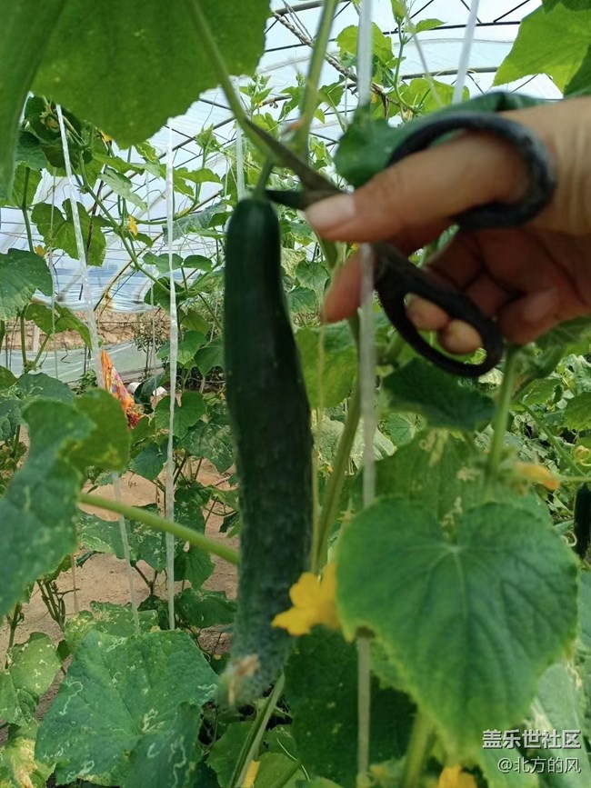 【八九不離食】+食材要新