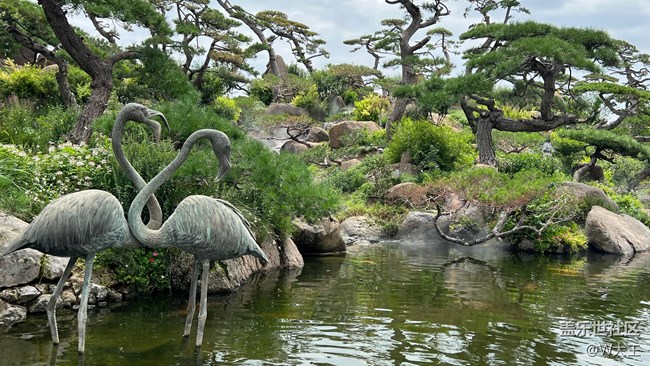 【靈動一夏】心動夏日