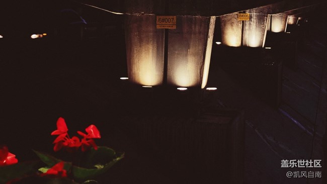 【霓虹燈下】立交橋與立交橋的氣息