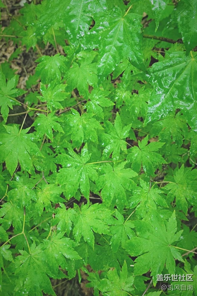 沈陽(yáng)星部落鐵剎山風(fēng)光攝影回顧貼 沈陽(yáng)星部落鐵剎山風(fēng)光攝影回顧貼