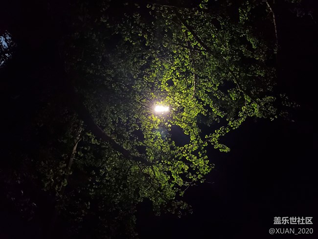 【年中小結(jié)】+ 在學(xué)校最后的時(shí)光