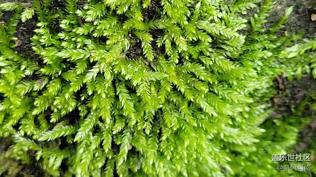 沈陽(yáng)星部落鐵剎山風(fēng)光攝影回顧貼 沈陽(yáng)星部落鐵剎山風(fēng)光攝影回顧貼
