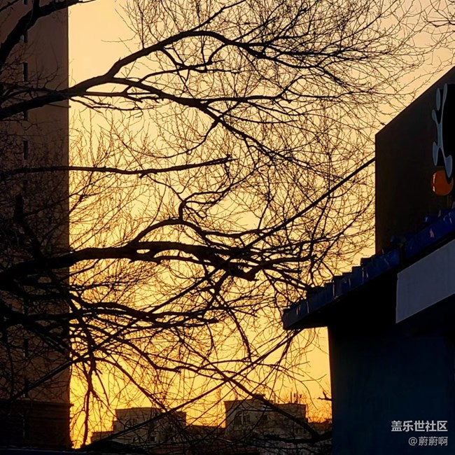 【年中小結】醉美夕陽